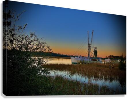 500 0564 Canvas Print