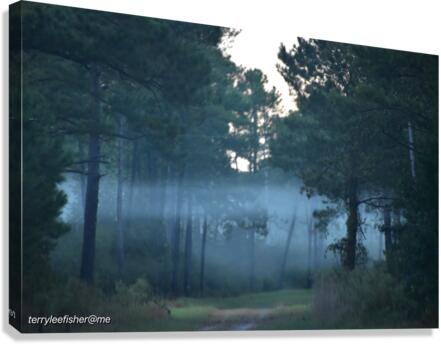 DSC 0101 Canvas Print