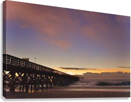 500 0269 Canvas Print