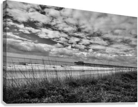 500 0111 Canvas Print