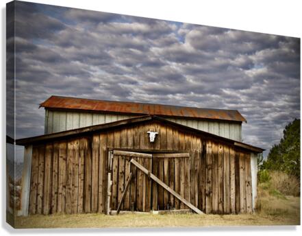 500 0492 Canvas Print
