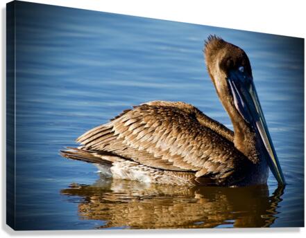 500 0202 Canvas Print