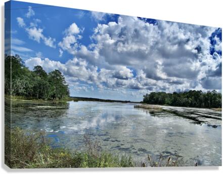 500 0035 Canvas Print