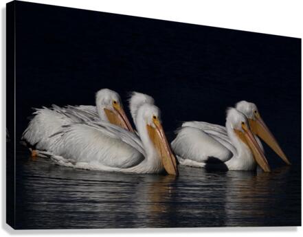500 0010 Canvas Print