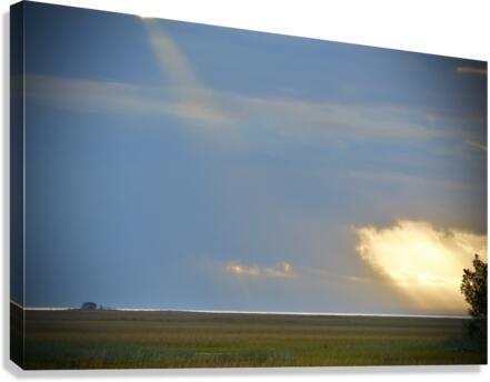 500 0337 Canvas Print