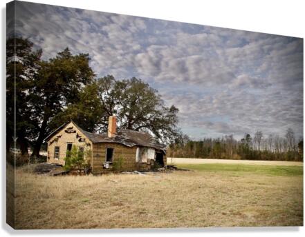500 0488 Canvas Print