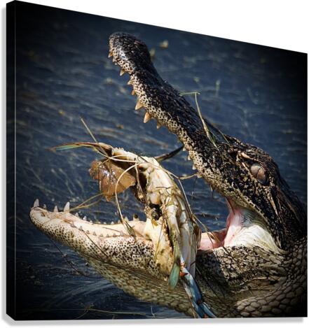 500 0063 Canvas Print