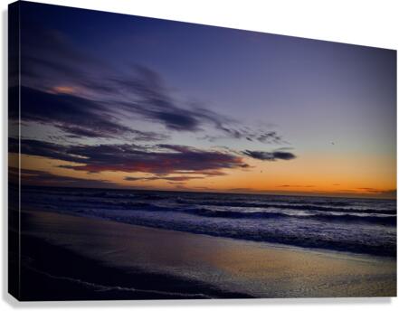 500 0289 Canvas Print