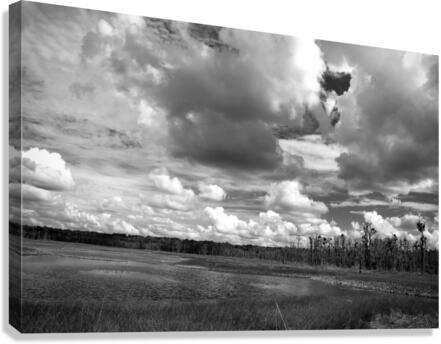 500 0042 Canvas Print