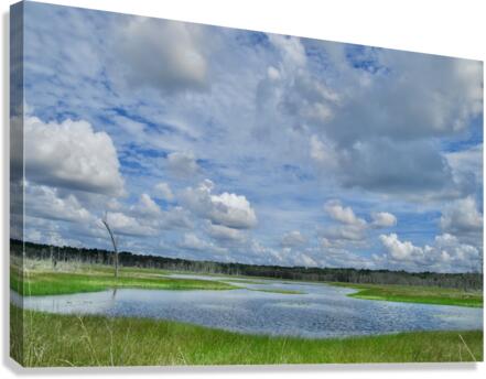 500 0041 Canvas Print