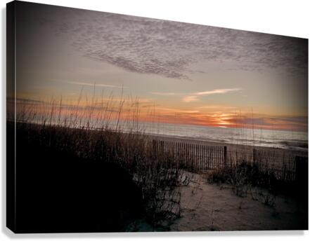 500 0576 Canvas Print