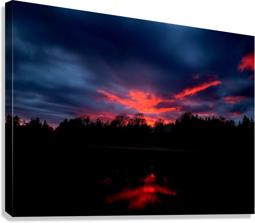 Phoenix Rising Canvas Print