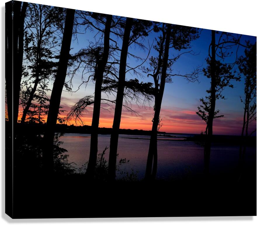 Seaside Forest Canvas Print