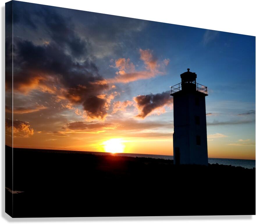 Seaside Sentinel Canvas Print