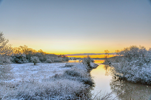 Alvecote Pools Covered In Snow In Wintertime