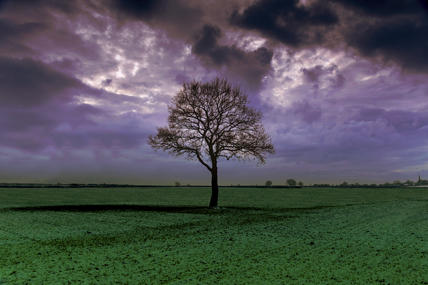 A Storm Is Coming Print