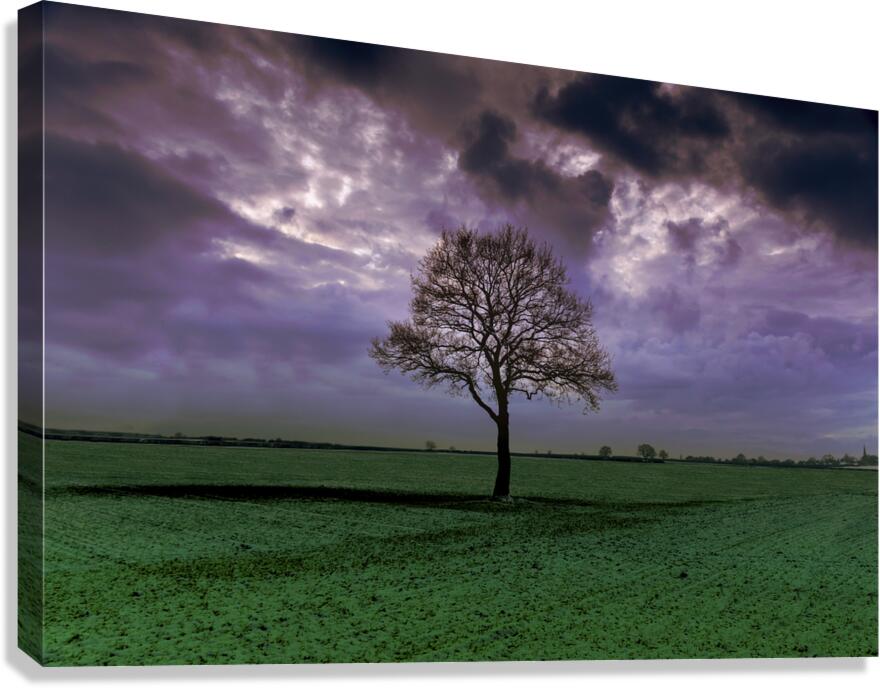 A Storm Is Coming Canvas Print