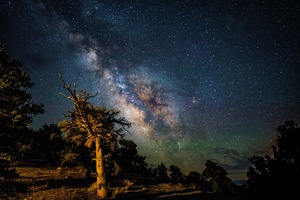 WhiteMountain Milky Way