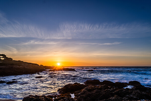 Fan Shell Beach 01 Print