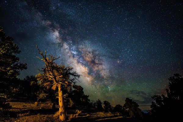WhiteMountain Milky Way by Mark W Jackson