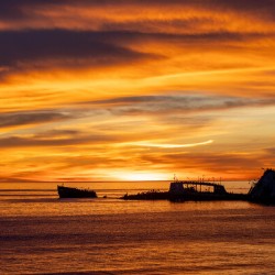 Seacliff Beach Sunset