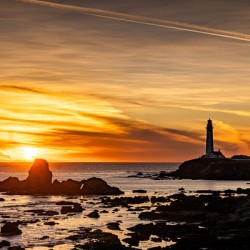 Pigeon Point Lighthouse 1
