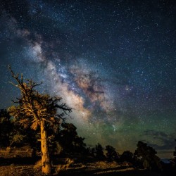 WhiteMountain Milky Way