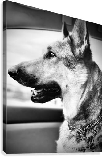 Wolf Child Canvas Print