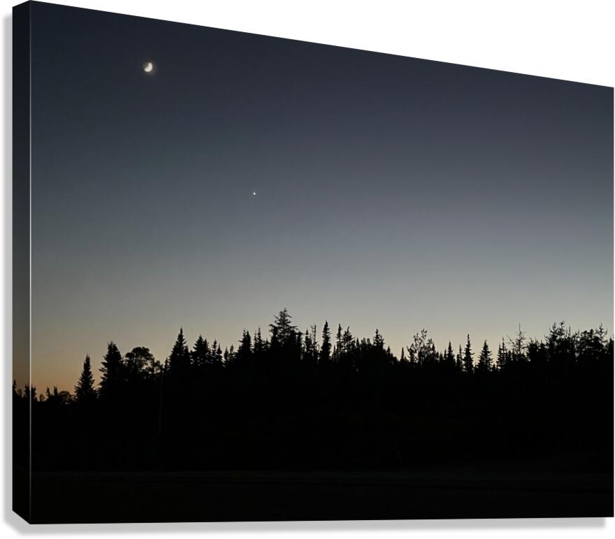 Simple nuit Canvas Print