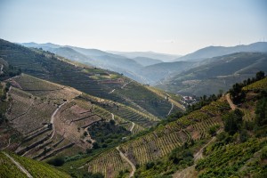 Douro