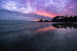 Tofino