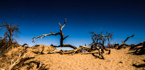 Death Valley Night