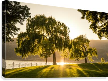 Kelowna Canvas Print
