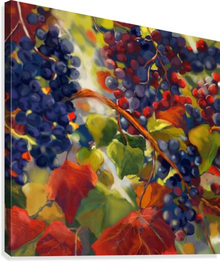 Vinyard Canvas Print