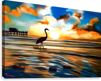 Seabird sunset  Canvas Print