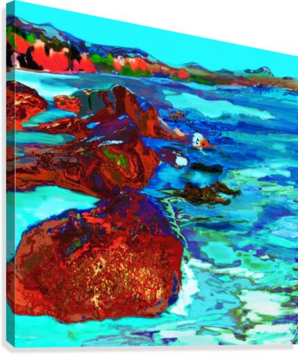 Coast Canvas Print