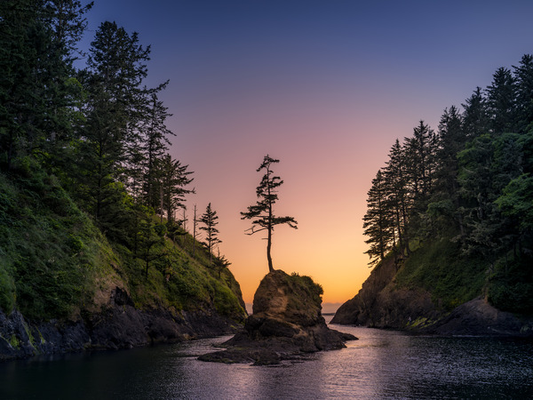 Tenacious by Geoff Hansen