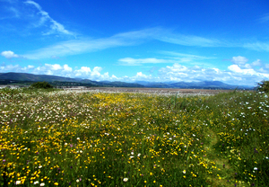 Lake District Duddon Estuary Millom 