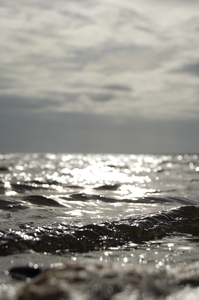 The Sleepy Tide Print