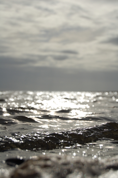 The Sleepy Tide by FREVO