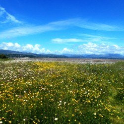 Lake District Duddon Estuary Millom 