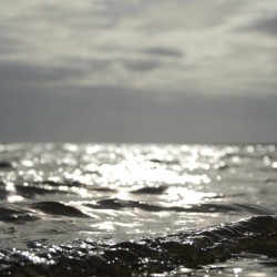 The Sleepy Tide