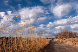 Dirt Road near Abeytas New Mexico