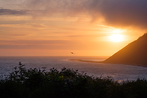 Ebeys Landing at Sunset with Silhouetted Raptor