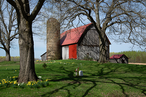 MIchigan Barn with Red Roof and Silo in Springtime