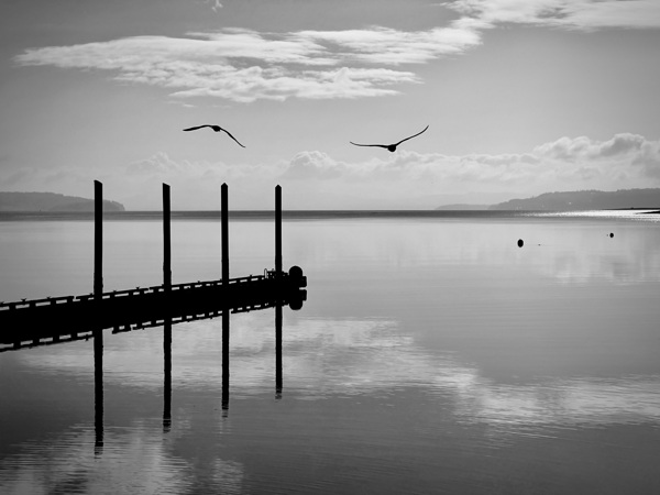 Pacific Northwest Serenity in B&W by Mary Lee Dereske