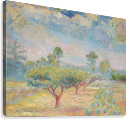 Plum Trees Canvas Print