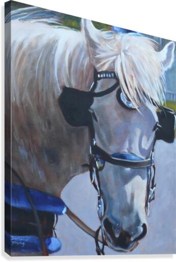 Molly Canvas Print