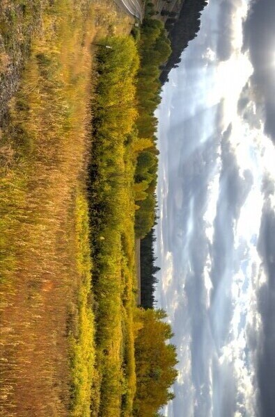 Heaven's Blessing by Dennis Blum