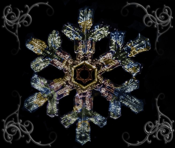 Coloured Snowflake1 Print